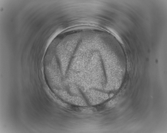 X0000075360899200609251059