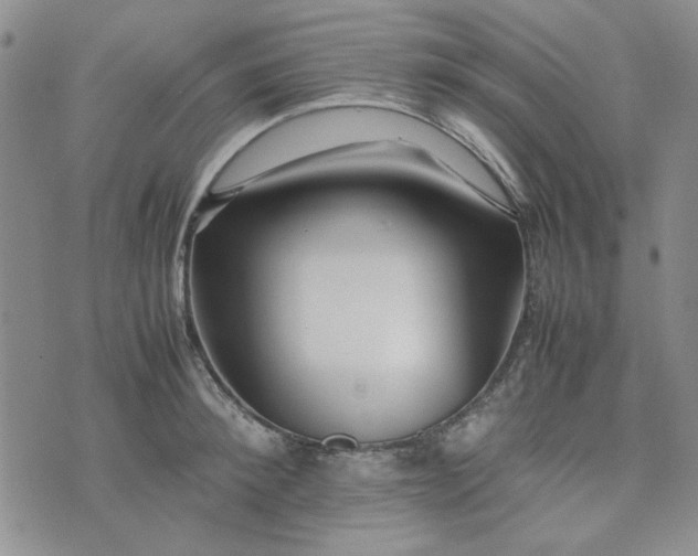 X0000075360900200609251059