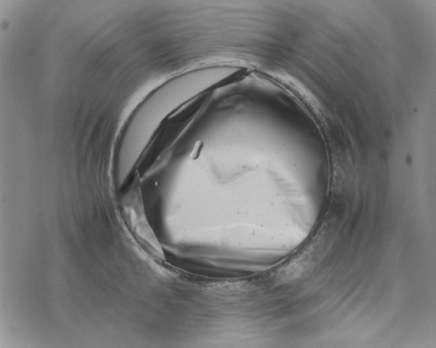 X0000075360902200609251059