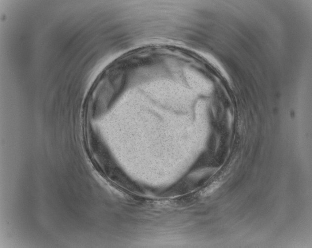 X0000075360903200609251059