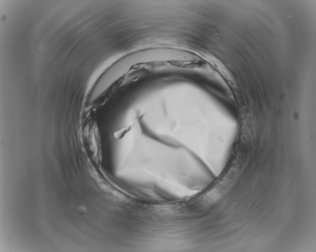 X0000075360904200609251059