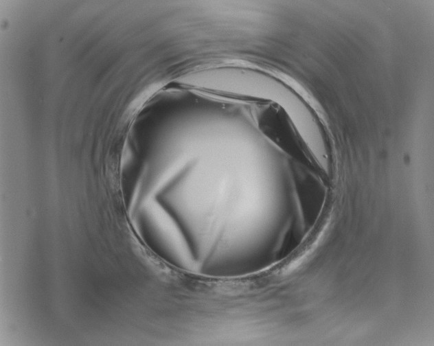 X0000075360905200609251059