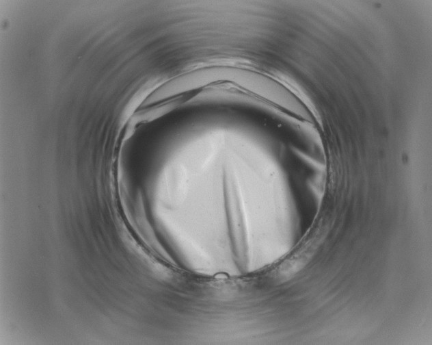 X0000075360906200609251059