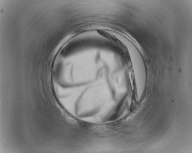 X0000075360909200609251059