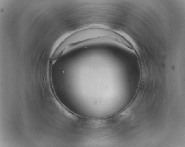 X0000075360910200609251059