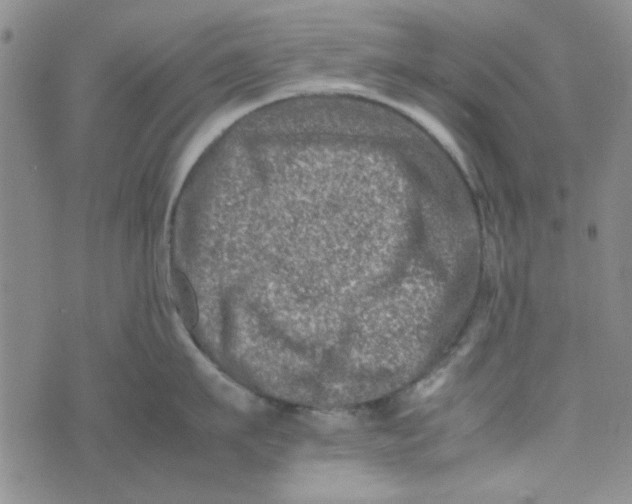 X0000075360911200609251059