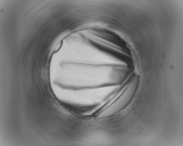 X0000075360912200609251059