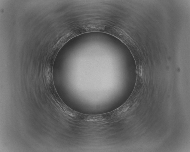 X0000075360915200609251058