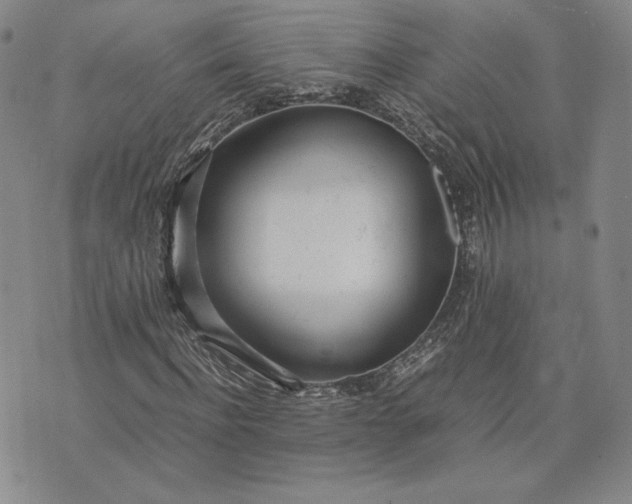 X0000075360916200609251058