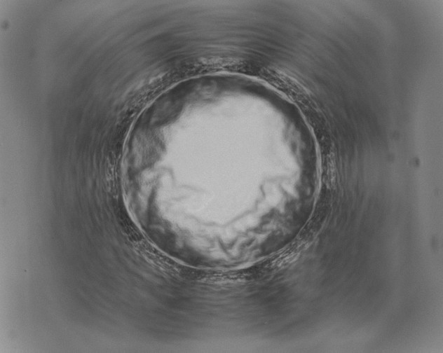 X0000075360917200609251058