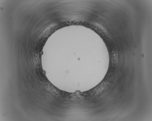 X0000075360918200609251058