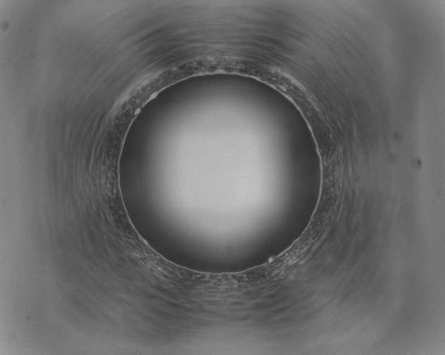 X0000075360919200609251058