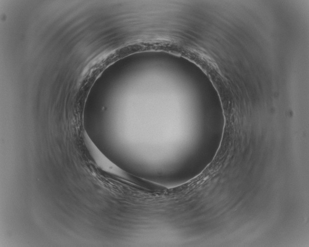 X0000075360920200609251058