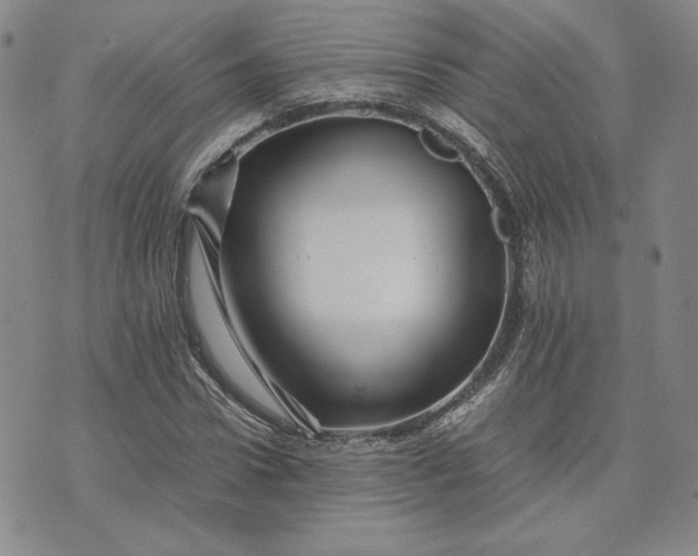 X0000075360922200609251058