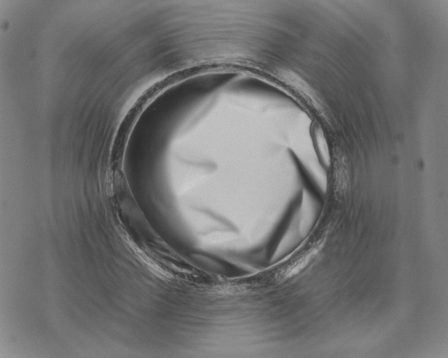 X0000075360924200609251058