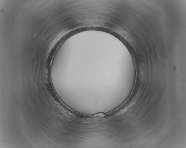 X0000075360926200609251058