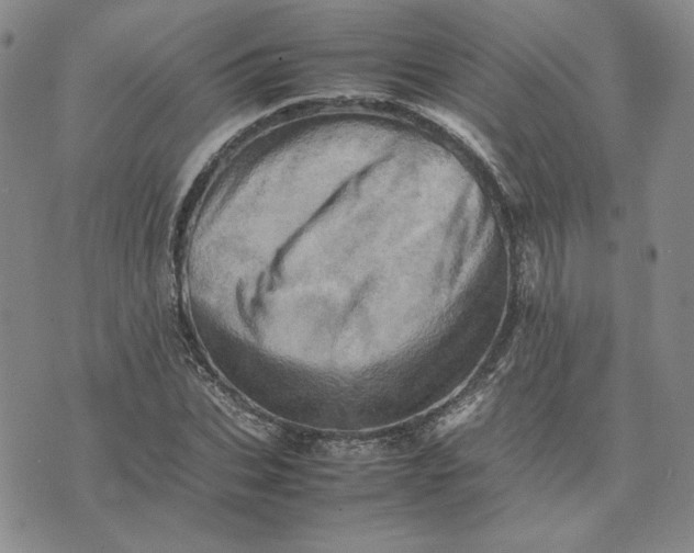 X0000075360927200609251058