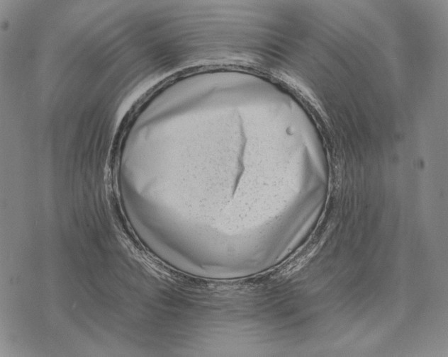 X0000075360928200609251058