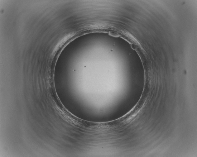 X0000075360930200609251058