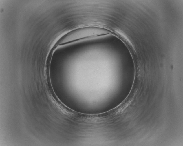 X0000075360932200609251058