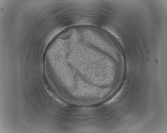 X0000075360933200609251058