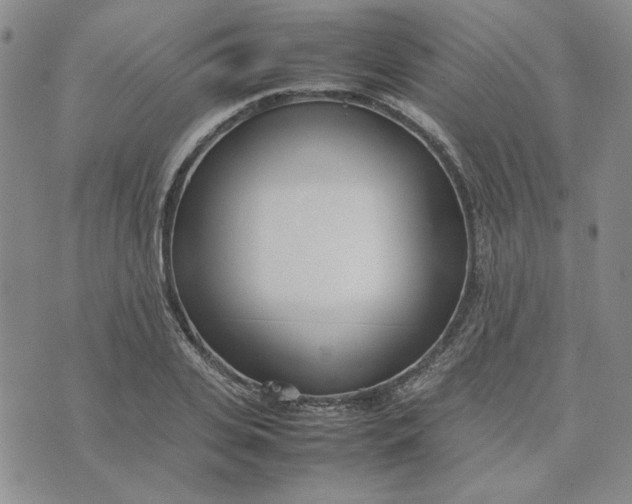 X0000075360935200609251058