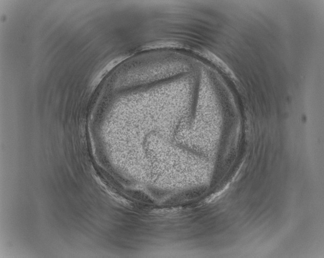 X0000075360937200609251058