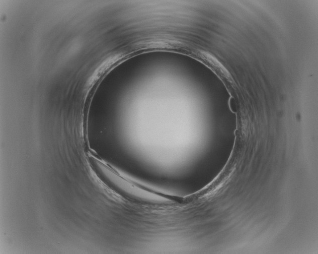 X0000075360938200609251058