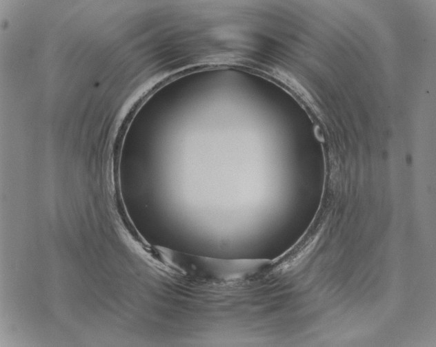 X0000075360939200609251058