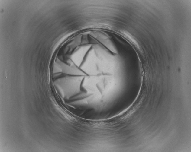 X0000075360940200609251058