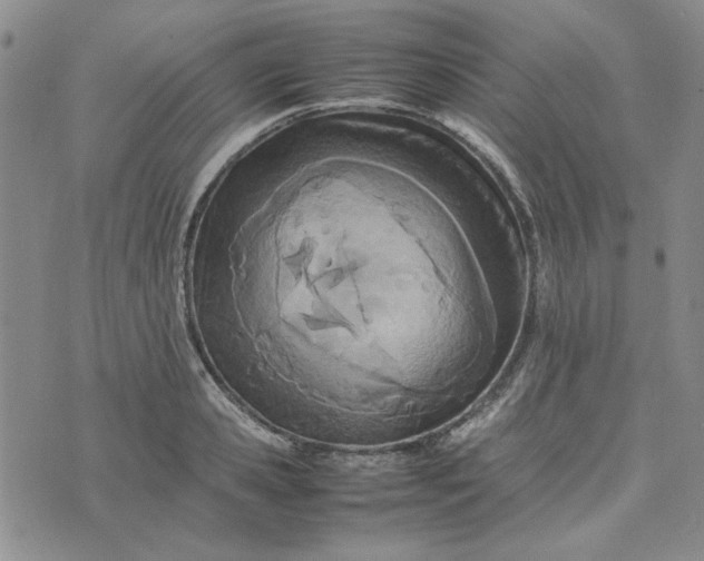 X0000075360941200609251058