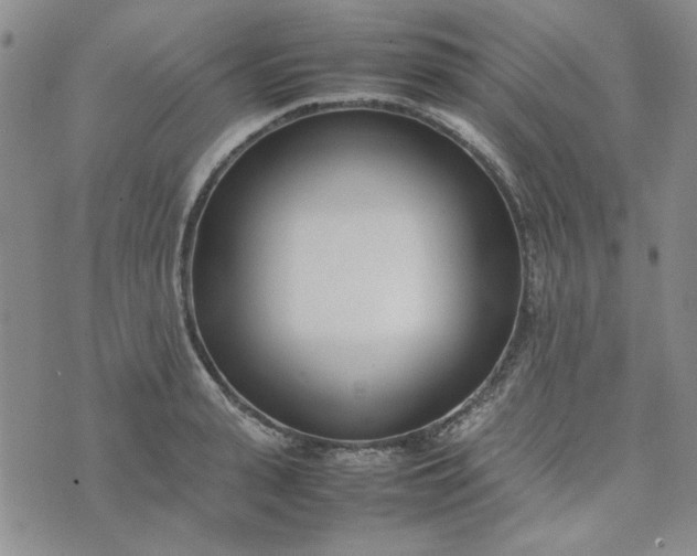 X0000075360943200609251058