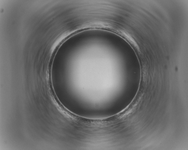 X0000075360944200609251058