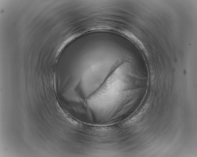 X0000075360945200609251058