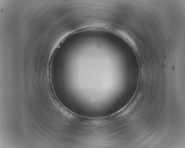 X0000075360948200609251058