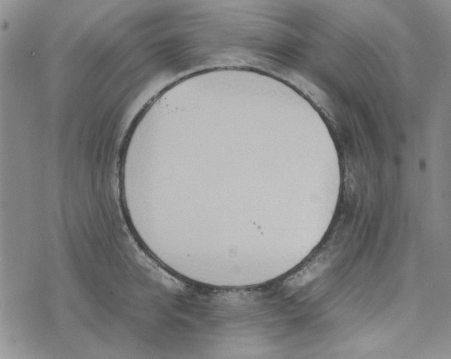 X0000075360950200609251058