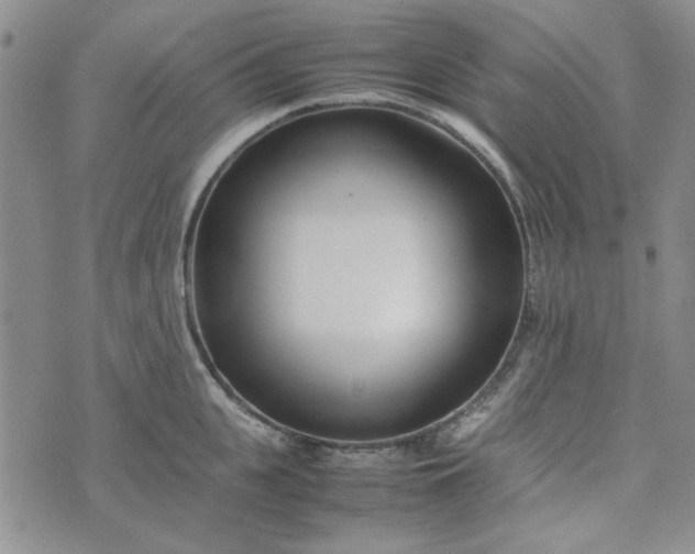 X0000075360951200609251058