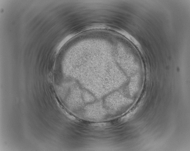 X0000075360953200609251058