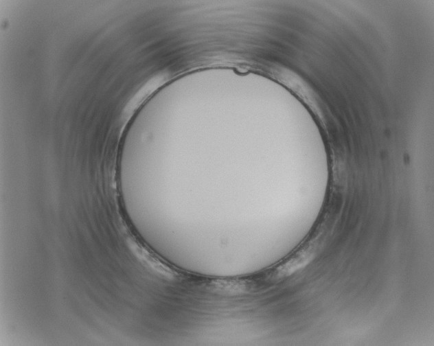 X0000075360954200609251058