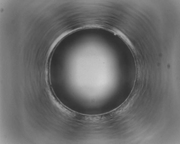 X0000075360955200609251058