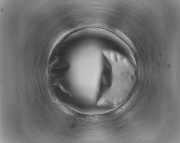 X0000075360956200609251058