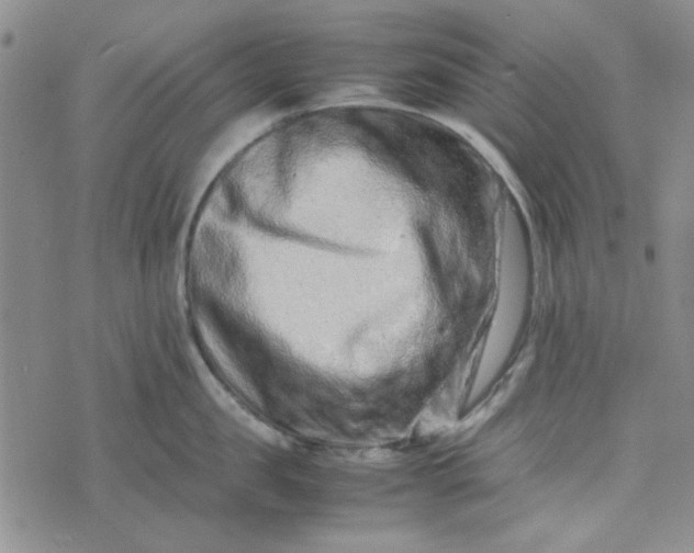 X0000075360957200609251058