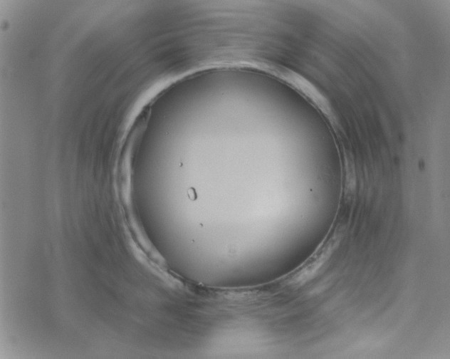 X0000075360958200609251058