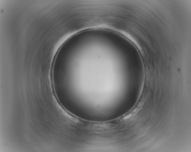 X0000075360959200609251058