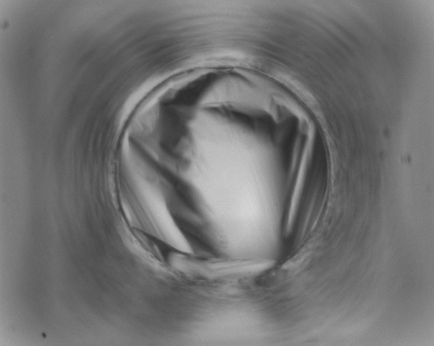 X0000075360960200609251059