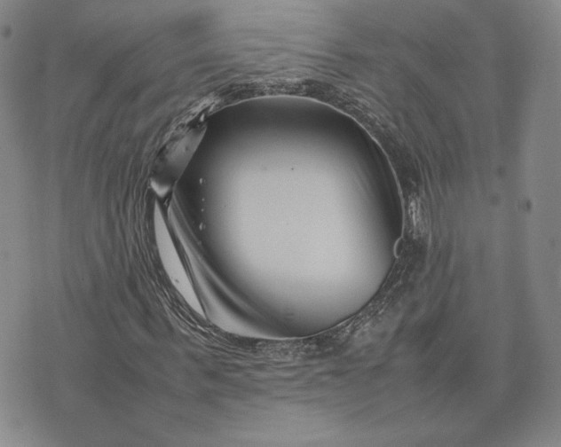 X0000075360963200609251058