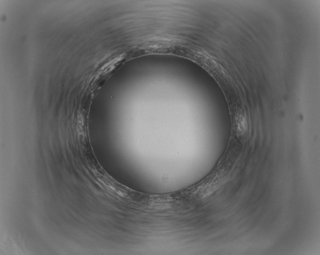 X0000075360964200609251058