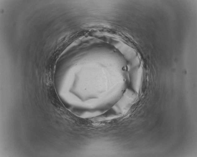 X0000075360965200609251058