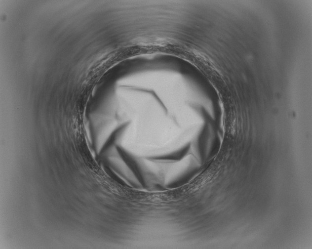 X0000075360966200609251058