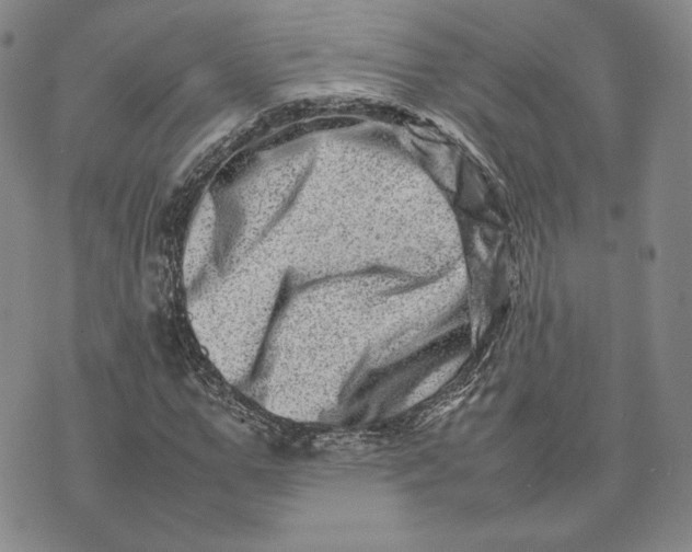 X0000075360967200609251058